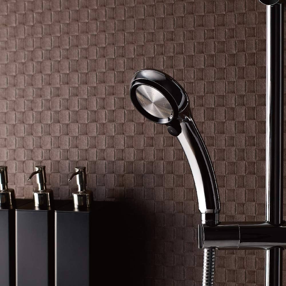 レイページ① メタリックシャワーヘッド ブラック レイニー: ホーム＆キッチン